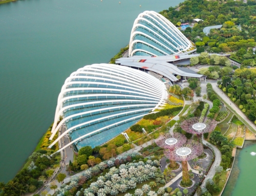 The Next Wave: Singapore’s Real Estate Revolution