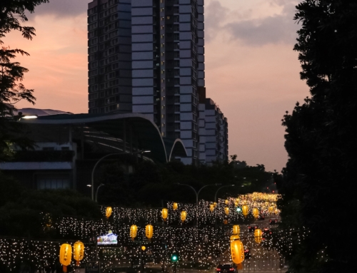 Orchard Sophia: A Pioneering Beacon in Singapore’s Real Estate Landscape