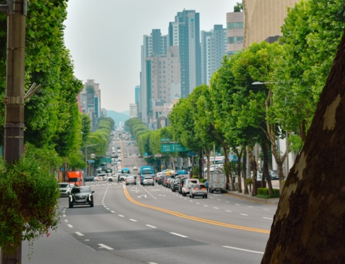From Sunset to Sunrise: The Electric Energy of Gangnam’s Nightlife