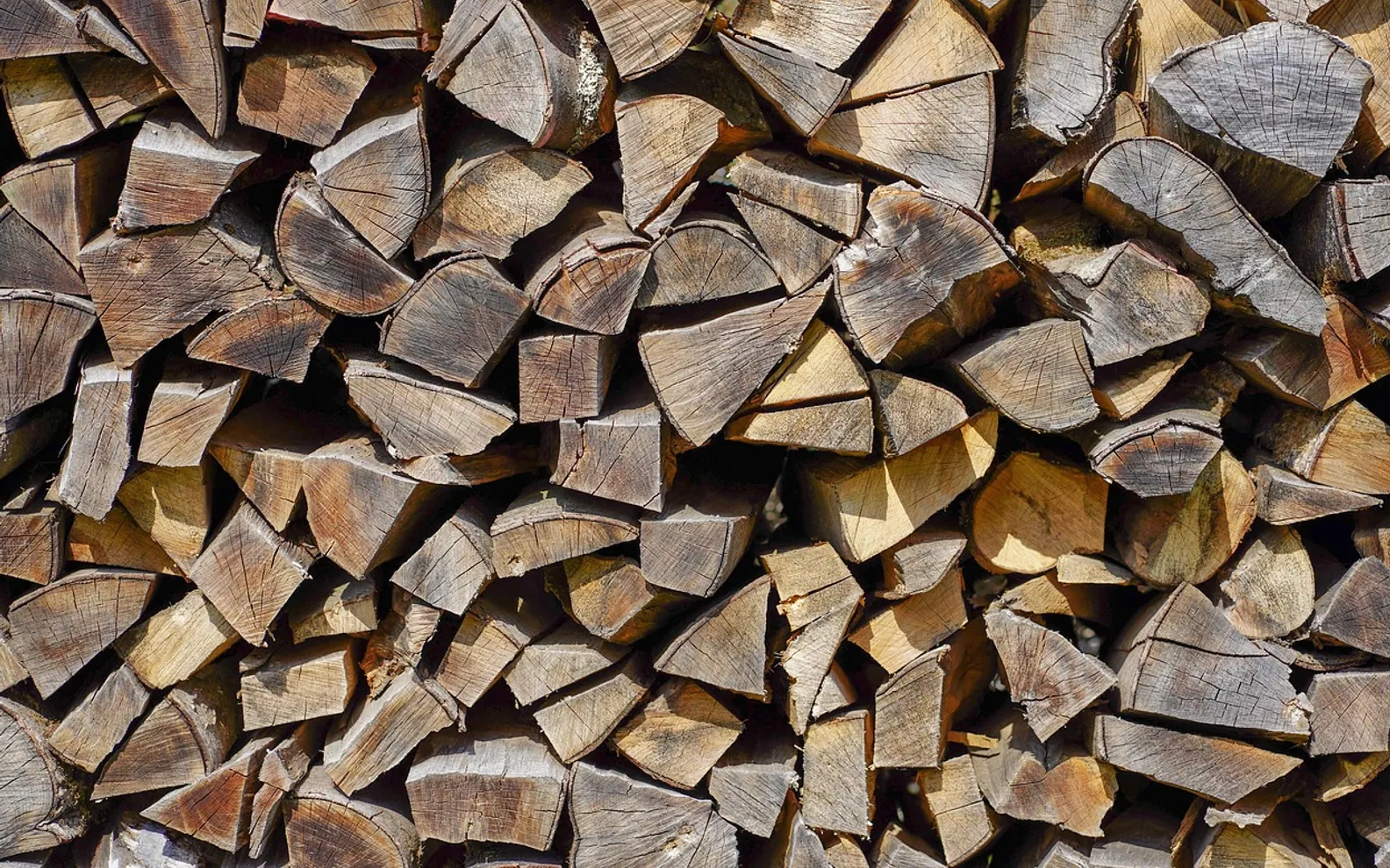 Wood, pile of wood and firewood